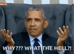 Why What The Hell Barack Obama GIF