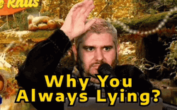 Why You Always Lying Ethan Klein Youtuber GIF | GIFDB.com