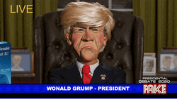 Why You Always Lying Puppet Wonald Grump GIF
