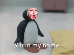 Why You're In My Home Nut GIF