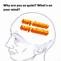 Why You So Quiet Very Demure GIF