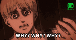 Whyyy Armin Alrert GIF