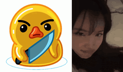 Wicked Plan Nugget The Duck Meme GIF