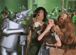 Wicked Witch Melting In The Wizard Of Oz GIF