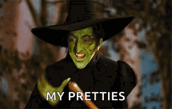 Wicked Witch Melting My Pretties GIF