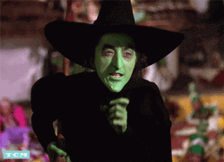 Wicked Witch Melting Warning GIF