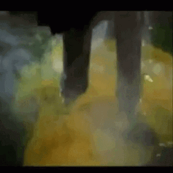 Wicked Witch Melting Yellow Liquid GIF