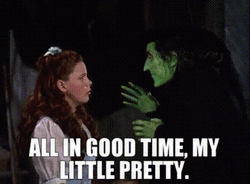 Wicked Witch Of The West And Dorothy Gale GIF