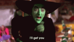 Wicked Witch Of The West Ill Get You GIF