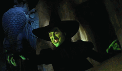 Wicked Witch Of The West Pointing Her Finger GIF
