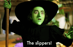 Wicked Witch Of The West The Slippers GIF