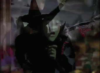 Wicked Witch Of The West Wizard Of Oz GIF