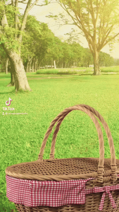 Wicker Picnic Basket With Checkered Blanket GIF