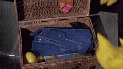 Wicker Suitcase With Blue Flippers GIF