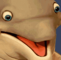 Wide Eyes Dolphin GIF