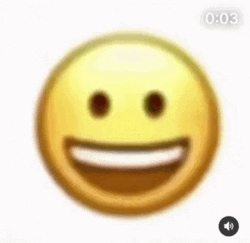 Wide Smile Camera Shot Emoji Meme GIF