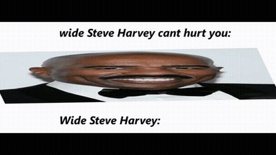 Wide Steve Harvey Cant Hurt You GIF