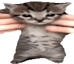 Wiggle Cat Wiggle Sticker GIF