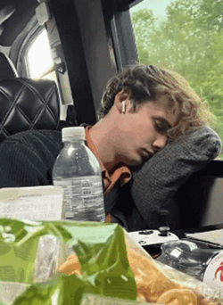 Wilbur Soot And Cat Sleeping GIF
