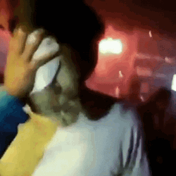 Wild Birthday Celebration Party GIF