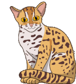 Wild Cat Leopard Cat Sticker GIF