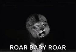 Wild Lion Baby Roar GIF