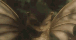 Wild Things Bat Teeth GIF
