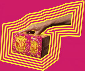Wild Things Pink Box GIF