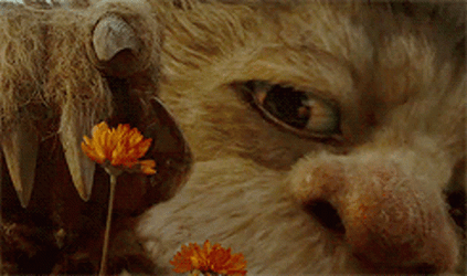 Wild Things Playing With Flower GIF
