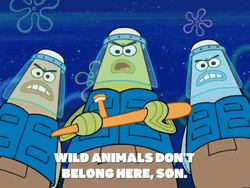 Wild Things SpongeBob Police GIF