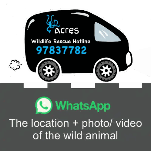 Wildlife Rescue Hotline Advertisement Sticker