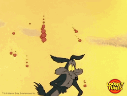 Wile E Coyote GIF