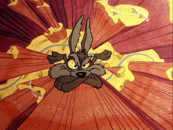 Wile E Coyote Crossed Arms Angry Falling GIF