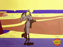 Wile E Coyote Egad GIF