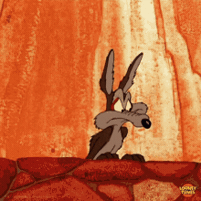 Wile E Coyote From Looney Tunes Is Standing On A Rock GIF