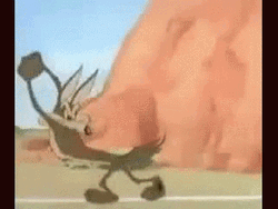  Wile E Coyote Hitting Fake Road GIF