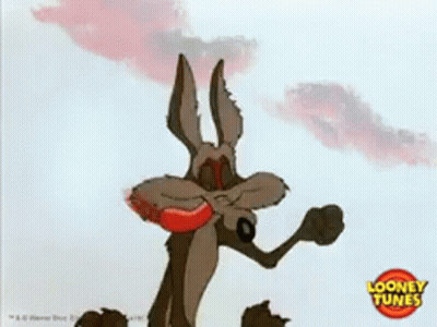 Wile E. Coyote Holding Boomerang In Mouth GIF