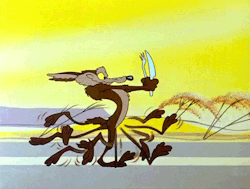Wile E Coyote Hungry Chasing Road Runner  GIF