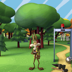 Wile E Coyote Looney Tunes GIF