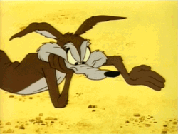 Wile E Coyote Playing With Sand GIF