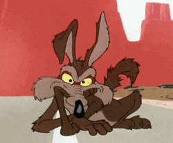 Wile E Coyote Raising Eyebrows GIF