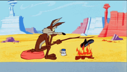Wile E Coyote Roasting Shoes Waiting Road Runner