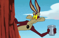 Wile E Coyote Spying Peeking With Telescope GIF