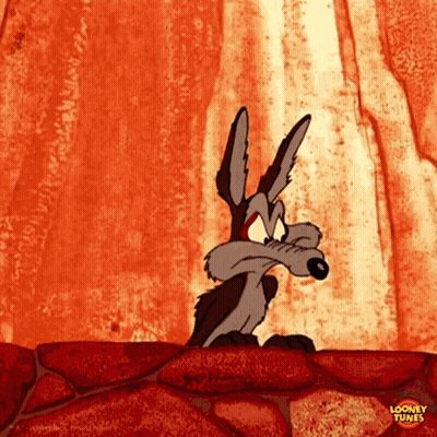 Wile E Coyote Standing On Rock GIF