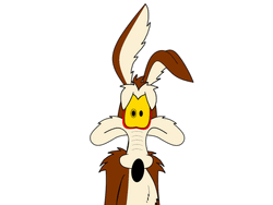 Wile E Coyote Staring Anxious Eyes GIF