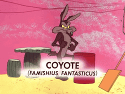 Wile E Coyote Tripped GIF