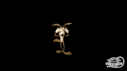 Wile E Coyote Walking Thinking Aha GIF
