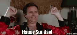 Will Ferrell Celebrating Happy Sunday