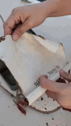 Will You Marry Me Again GIF