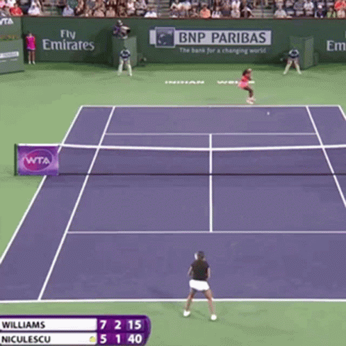 Williams And Niculescu Are Playing Tennis In Front Of A Banner For Bnp Paribas GIF